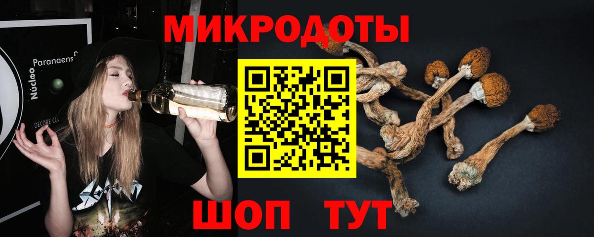 Зеленогорск  Псилоцибиновые грибы мицелий  Вход с VPN 